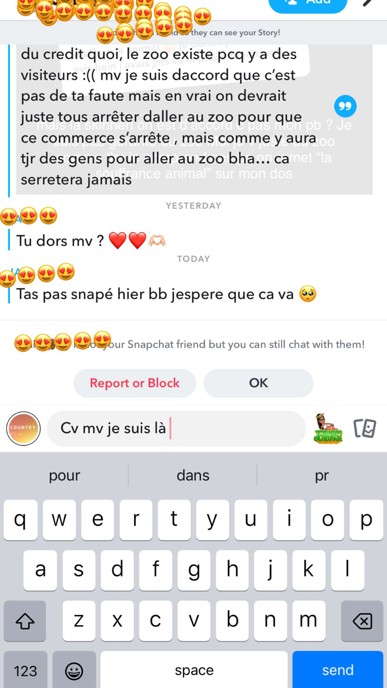 Story