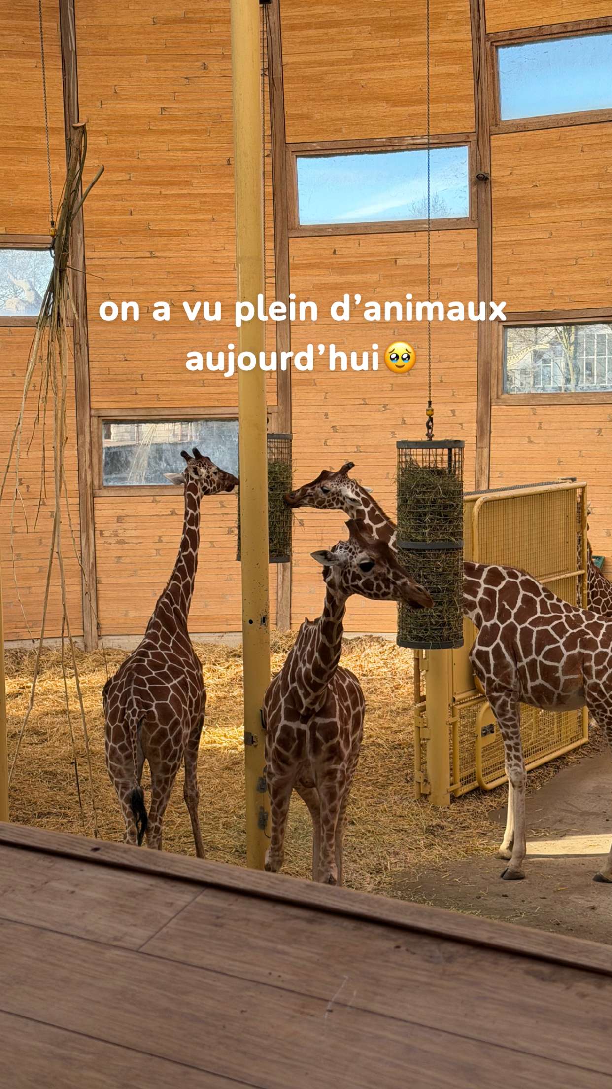 Story