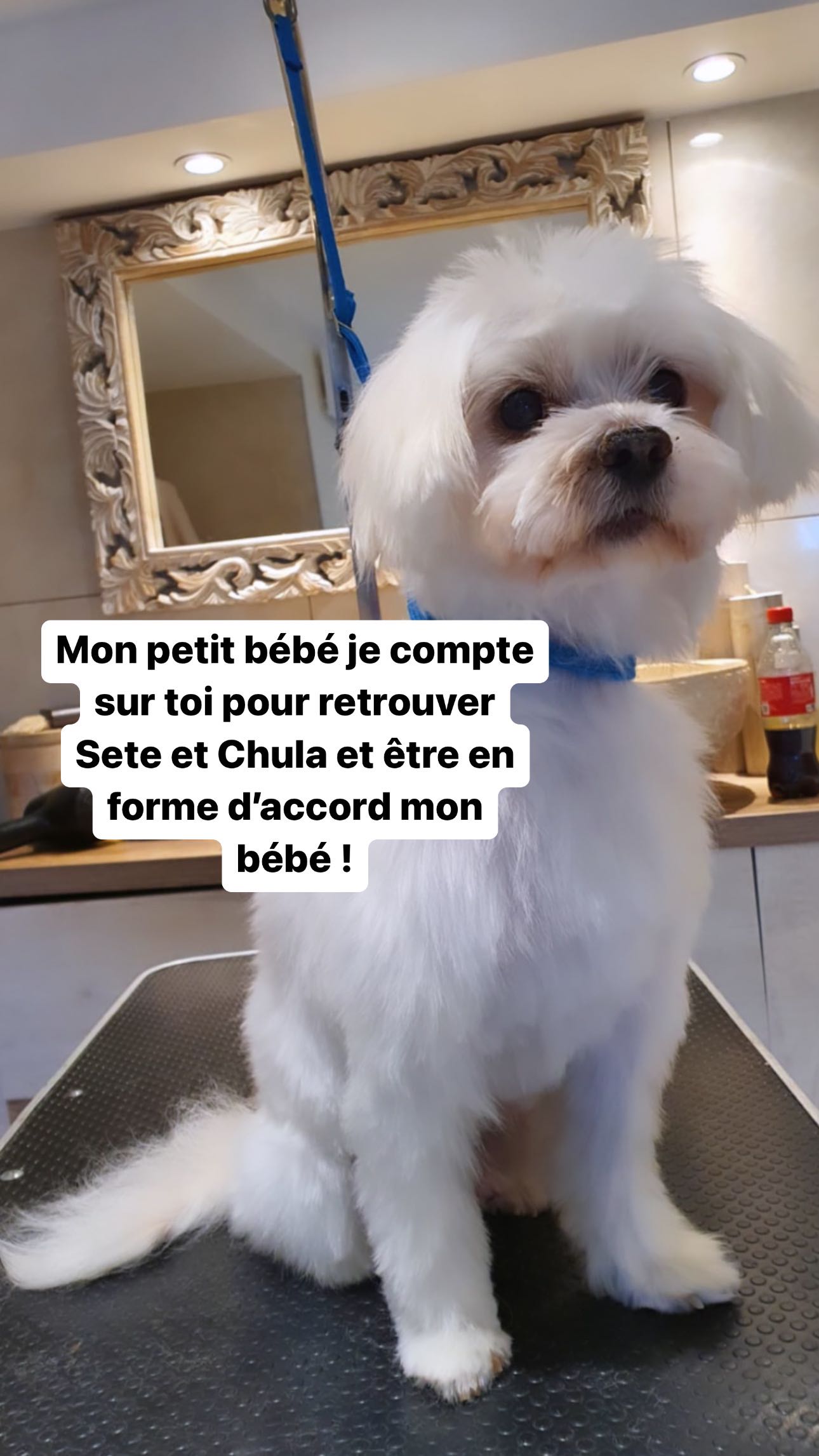 Story